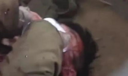 最新恐怖吃瓜爆料新闻,最新恐怖吃瓜爆料，揭秘幕后真相！